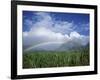 Rainbow Above Sugar Cane Field on Maui-James Randklev-Framed Photographic Print