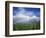 Rainbow Above Sugar Cane Field on Maui-James Randklev-Framed Photographic Print