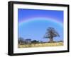 Rainbow and African baobab tree, Tarangire National Park, Tanzania-Adam Jones-Framed Photographic Print