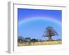 Rainbow and African baobab tree, Tarangire National Park, Tanzania-Adam Jones-Framed Photographic Print