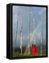 Rainbow and Monks with Praying Flags, Phobjikha Valley, Gangtey Village, Bhutan-Keren Su-Framed Stretched Canvas