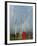 Rainbow and Monks with Praying Flags, Phobjikha Valley, Gangtey Village, Bhutan-Keren Su-Framed Photographic Print