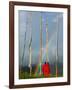 Rainbow and Monks with Praying Flags, Phobjikha Valley, Gangtey Village, Bhutan-Keren Su-Framed Photographic Print