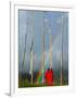 Rainbow and Monks with Praying Flags, Phobjikha Valley, Gangtey Village, Bhutan-Keren Su-Framed Photographic Print