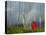 Rainbow and Monks with Praying Flags, Phobjikha Valley, Gangtey Village, Bhutan-Keren Su-Stretched Canvas