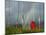 Rainbow and Monks with Praying Flags, Phobjikha Valley, Gangtey Village, Bhutan-Keren Su-Mounted Photographic Print