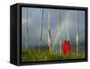 Rainbow and Monks with Praying Flags, Phobjikha Valley, Gangtey Village, Bhutan-Keren Su-Framed Stretched Canvas