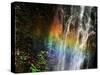 Rainbow and Water Falls-null-Stretched Canvas