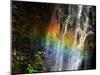 Rainbow and Water Falls-null-Mounted Photographic Print