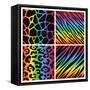 Rainbow Animal Print Background Collection-Avel Krieg-Framed Stretched Canvas