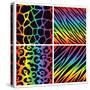 Rainbow Animal Print Background Collection-Avel Krieg-Stretched Canvas