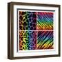 Rainbow Animal Print Background Collection-Avel Krieg-Framed Art Print