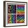 Rainbow Animal Print Background Collection-Avel Krieg-Framed Art Print