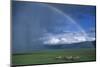 Rainbow Arches over Common Zebras-W. Perry Conway-Mounted Photographic Print