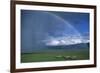 Rainbow Arches over Common Zebras-W. Perry Conway-Framed Photographic Print