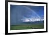 Rainbow Arches over Common Zebras-W. Perry Conway-Framed Photographic Print