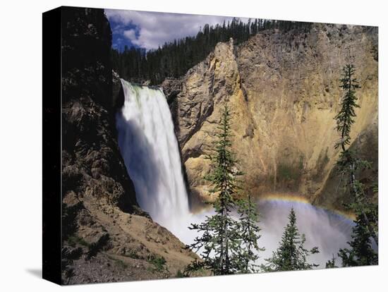 Rainbow at Lower Yellowstone Falls-James Randklev-Stretched Canvas