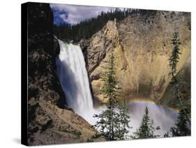 Rainbow at Lower Yellowstone Falls-James Randklev-Stretched Canvas
