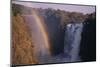 Rainbow at Victoria Falls-DLILLC-Mounted Photographic Print