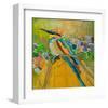 Rainbow Bee Eater-null-Framed Art Print