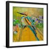 Rainbow Bee Eater-null-Framed Art Print