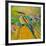 Rainbow Bee Eater-null-Framed Art Print