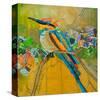Rainbow Bee Eater-null-Stretched Canvas