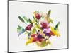 Rainbow Bouquet 2-Paulo Romero-Mounted Art Print
