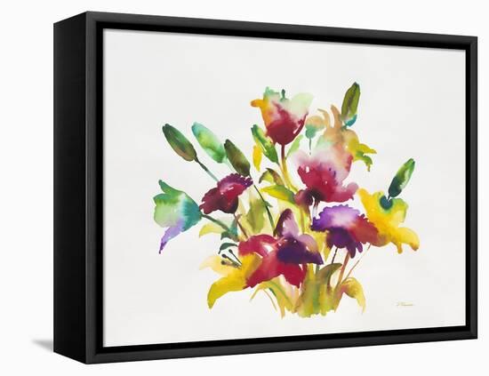 Rainbow Bouquet 2-Paulo Romero-Framed Stretched Canvas