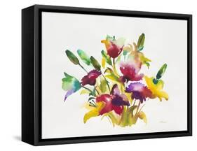 Rainbow Bouquet 2-Paulo Romero-Framed Stretched Canvas