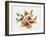 Rainbow Bouquet 2-Paulo Romero-Framed Art Print