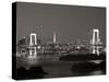 Rainbow Bridge and Tokyo Bay from Odaiba, Tokyo, Japan-Jon Arnold-Stretched Canvas