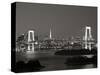 Rainbow Bridge and Tokyo Bay from Odaiba, Tokyo, Japan-Jon Arnold-Stretched Canvas