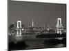 Rainbow Bridge and Tokyo Bay from Odaiba, Tokyo, Japan-Jon Arnold-Mounted Photographic Print