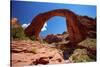 Rainbow Bridge, Lake Powell, Utah-George Oze-Stretched Canvas