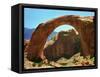 Rainbow Bridge National Monument is a Star Attraction at Lake Powell on the Utah Side-null-Framed Stretched Canvas