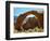 Rainbow Bridge National Monument is a Star Attraction at Lake Powell on the Utah Side-null-Framed Photographic Print