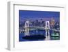 Rainbow Bridge Spanning Tokyo Bay with Tokyo Tower Visible in the Background.-SeanPavonePhoto-Framed Photographic Print