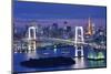 Rainbow Bridge Spanning Tokyo Bay with Tokyo Tower Visible in the Background.-SeanPavonePhoto-Mounted Photographic Print