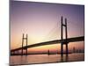 Rainbow Bridge, Toyko, Japan-null-Mounted Photographic Print