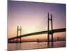 Rainbow Bridge, Toyko, Japan-null-Mounted Photographic Print