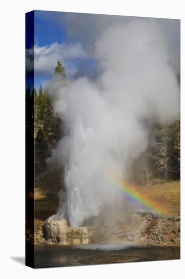 Rainbow Cast by Eruption of Riverside Geyser-Eleanor-Stretched Canvas