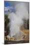 Rainbow Cast by Eruption of Riverside Geyser-Eleanor-Mounted Photographic Print