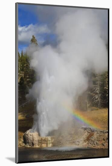 Rainbow Cast by Eruption of Riverside Geyser-Eleanor-Mounted Photographic Print