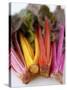 Rainbow Chard-Sebastian Vogt-Stretched Canvas