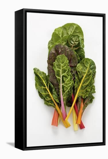 Rainbow Chard-Herbert Lehmann-Framed Stretched Canvas