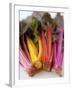 Rainbow Chard-Sebastian Vogt-Framed Photographic Print