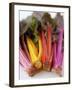 Rainbow Chard-Sebastian Vogt-Framed Photographic Print