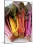 Rainbow Chard-Sebastian Vogt-Mounted Photographic Print