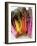 Rainbow Chard-Sebastian Vogt-Framed Photographic Print